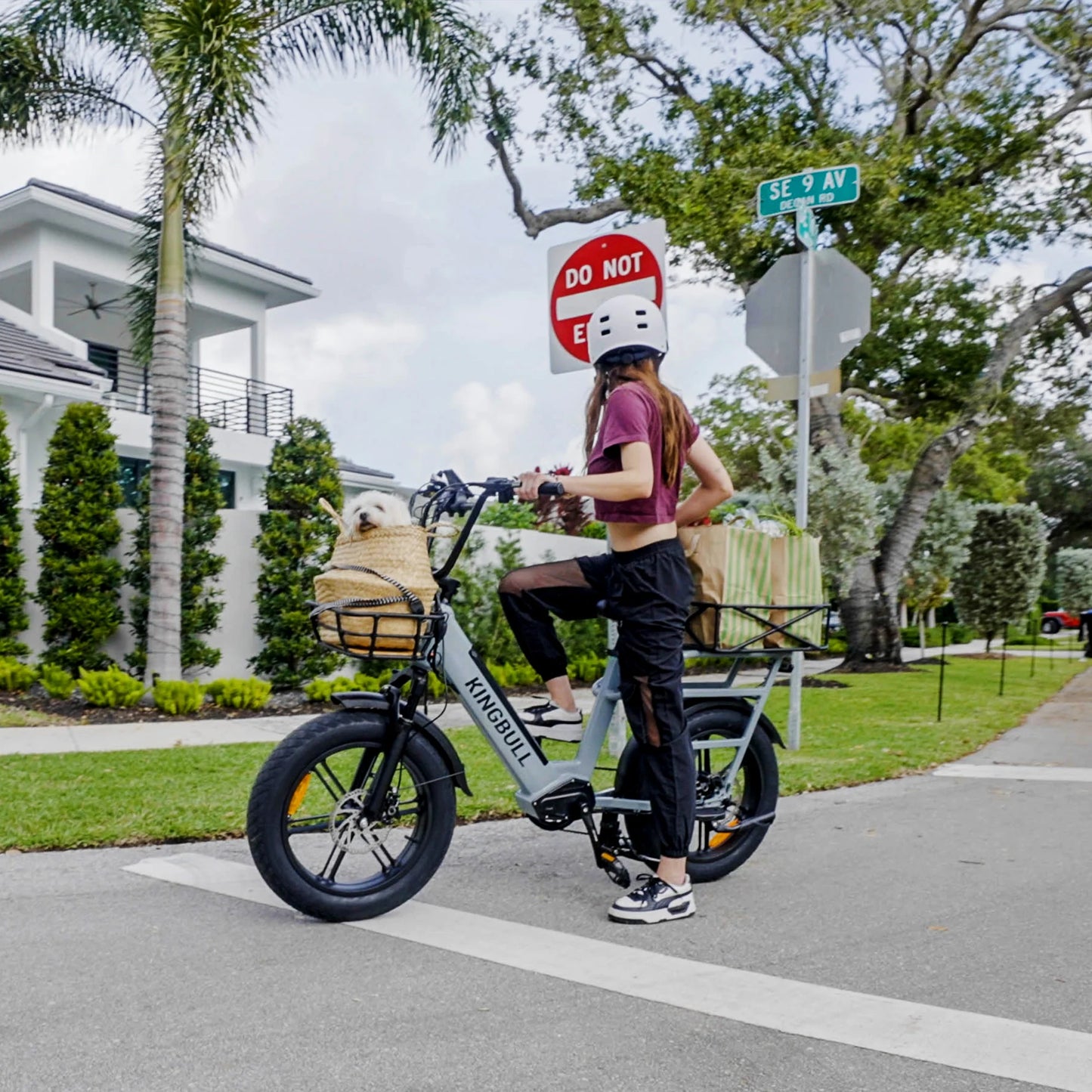 Kingbull Voyager | Fat Tire Electric Cargo Bike