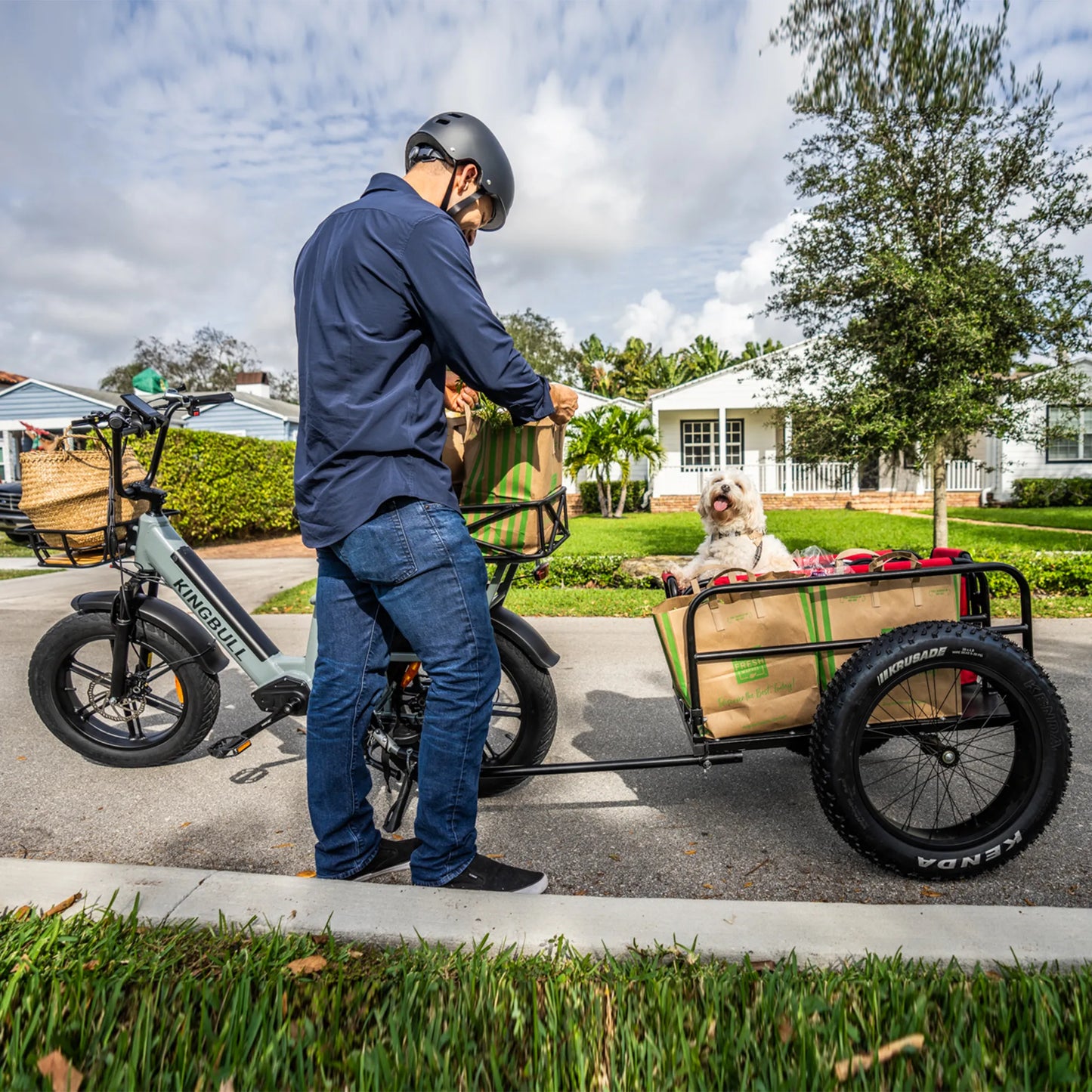 Kingbull Voyager | Fat Tire Electric Cargo Bike