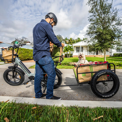 Kingbull Voyager | Fat Tire Electric Cargo Bike