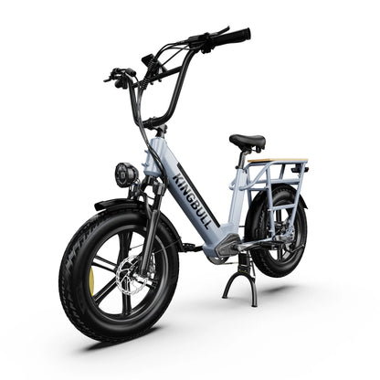 Kingbull Voyager | Fat Tire Electric Cargo Bike