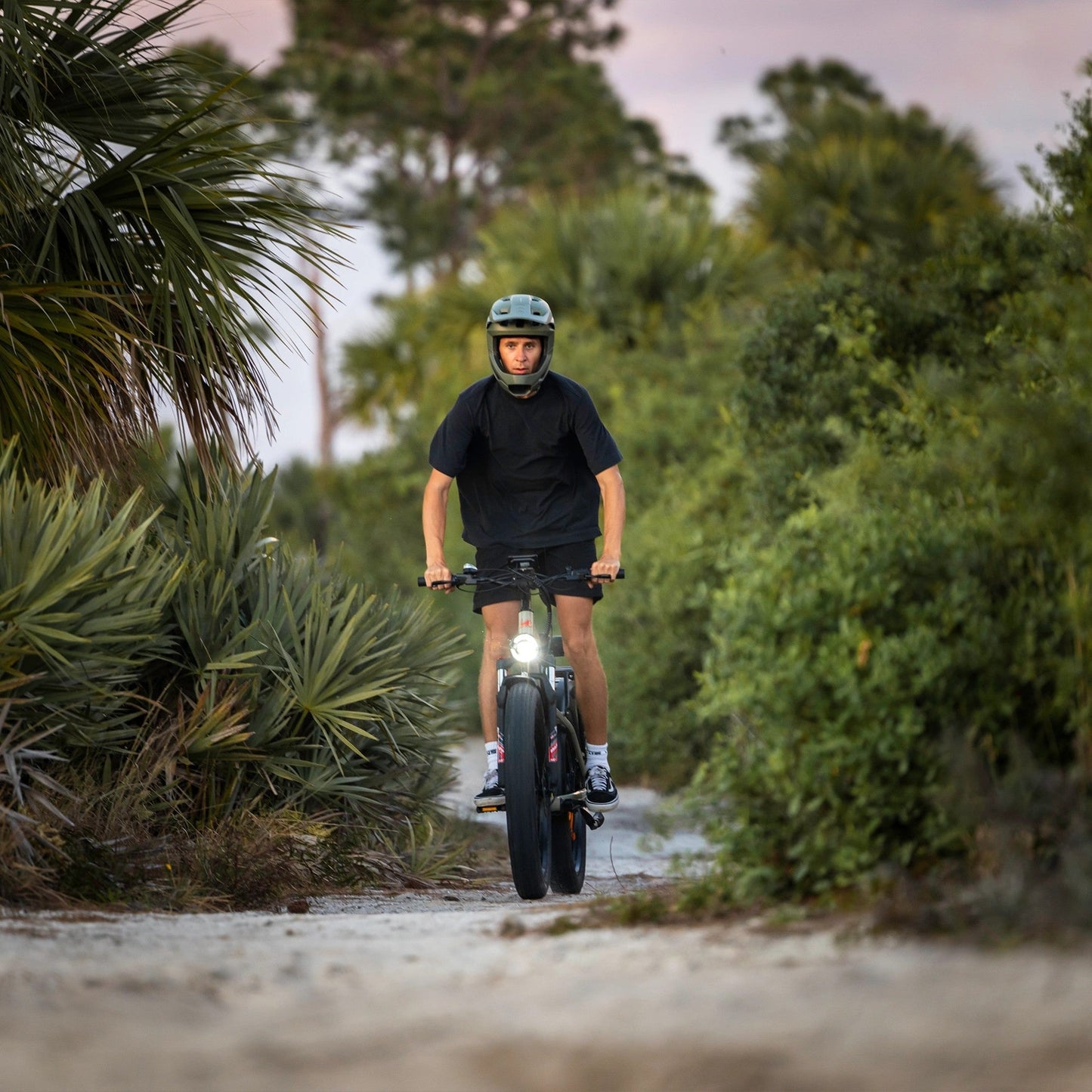 Kingbull Hunter 2.0 electric mountain bike