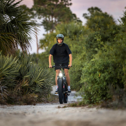 Kingbull Hunter 2.0 electric mountain bike