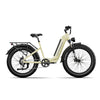 Trekker | Premium Step-Through Electric City Bike