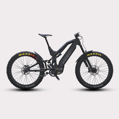 Fat Tire eBikes