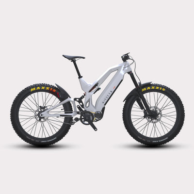 Cargo e-Bikes